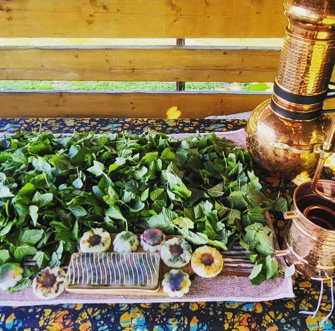 Alambic to extract hydrosol